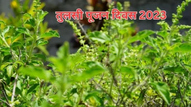 Photo of तुलसी पूजन दिवस पर करें इस शक्तिशाली स्तोत्र का पाठ, प्रसन्न होंगी माता लक्ष्मी