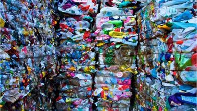 Photo of प्लास्टिक निर्यात नवंबर में 5.6% घटकर 89.2 करोड़ डॉलर पर