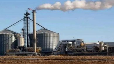 Photo of एथनाल निर्माण के लिए सरकारी एजेंसी मक्के की करेगी सप्लाई