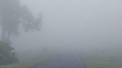 Photo of शीतलहर और घने कोहरे की चपेट में उत्तर भारत, मौसम विभाग ने जारी किया अलर्ट