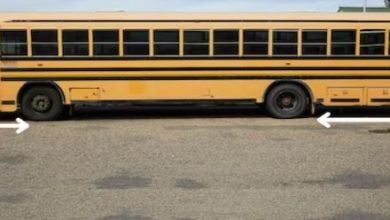 Photo of बसों के पिछले टायर, अंतिम छोर पर न होकर आगे की ओर क्यों होते हैं? जानिए