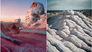 Photo of कुदरत का चमत्कार है ये जगह, बेहद अनोखी है चट्टानों की बनावट!