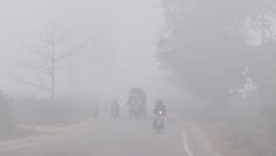 Photo of बिहार का मोसम :कब तक बिहार में शीतलहर से खतरा, जानिए?