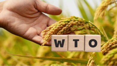 Photo of WTO की बैठक में घरेलू खाद्य सुरक्षा से कोई समझौता नहीं करेगा भारत