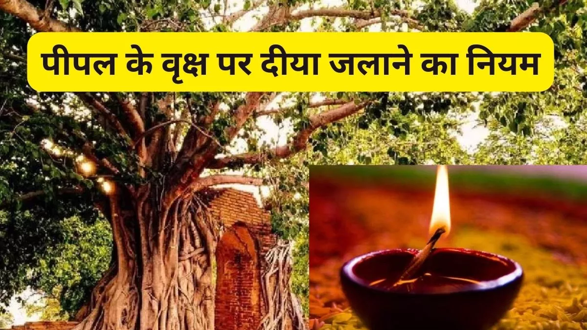 Photo of पीपल के समक्ष दीया जलाते समय इन नियमों का रखें ध्यान