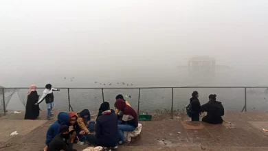 Photo of इस इंस्टीट्यूट में आईटी इंजीनियर, प्लानर सहित कई पदों पर निकली भर्ती