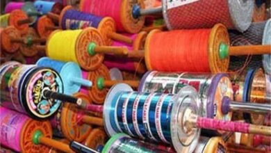 Photo of पंजाब में दर्दनाक हादसा, चाइना डोर की चपेट में आया कपल