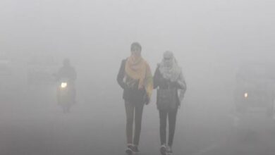 Photo of यूपी-बिहार और उत्तराखंड में शीतलहर का अलर्ट