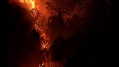 Photo of पुंछ में नियंत्रण रेखा के पास जंगल में लगी आग, कई बारूदी सुरंगों में विस्फोट