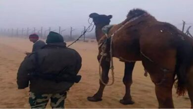 Photo of सीमा सुरक्षा बल का ऑपरेशन सर्द हवा आज से