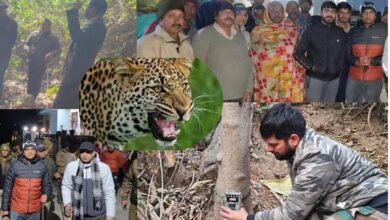 Photo of देहरादून : पिंजरा, ट्रैप कैमरा और 40 लोगों की टीम…फिर भी पकड़ से बाहर गुलदार