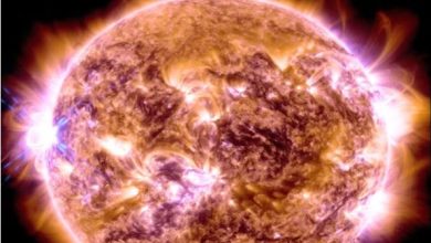 Photo of 2024 में सूर्य पर ‘उतरेगा’ ये अंतर‍िक्ष यान! 195 किलोमीटर प्रत‍िसेकेंड होगी रफ्तार