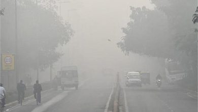 Photo of हरियाणा: कड़ाके की ठंड से नए साल का स्वागत, इन 14 जिलों में कोहरे का रेड अलर्ट