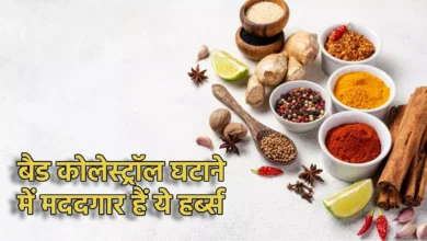 Photo of  इन 5 हर्ब्स की मदद से आसानी से बाहर निकाल सकते हैं शरीर में जमे बैड कोलेस्ट्रॉल को