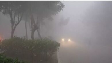 Photo of राजधानी दिल्ली समेत इन राज्यों में कोहरे और ठंड का डबल अटैक