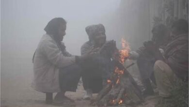 Photo of पंजाब में अभी नहीं मिलेगी ठंड से राहत, जारी हुआ अलर्ट