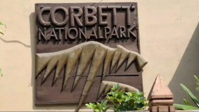 Photo of जिम कॉर्बेट नेशलनल पार्क हाथी की मौत