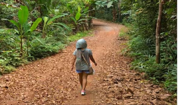Photo of  बंदरों ने पाल-पोसकर किया बड़ा, 4 साल की उम्र में हुई थी किडनैप!