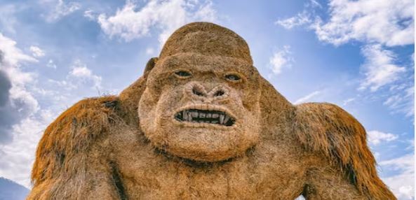 Photo of कैसे होते थे असल दुनिया के किंग कॉन्ग, कैसे हो गए थे ये गायब…जानिए