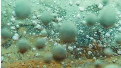 Photo of खौलते पानी की नदी, गलती से भी गिरे तो मौत की 100 प्रतिशत गारंटी!