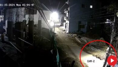 Photo of सावधान! देहरादून शहर में घूम रहा गुलदार, घरों से न निकलें