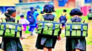 Photo of हरियाणा : तीसरी कक्षा तक की छुट्टियां बढ़ीं, चौथी-5वीं का फैसला लेंगे DC