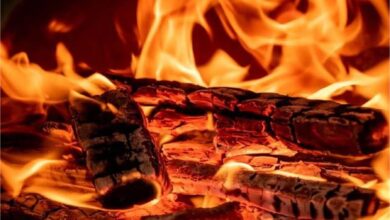 Photo of पंजाब  : प्रवासी मजदूरों की झुग्गियों को लगी भीषण आग