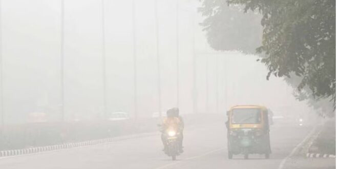 Photo of पंजाब में कोहरे से हादसों में तीन की मौत