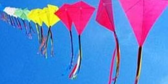 Photo of दिल्ली : बांसेरा बैंबू पार्क में आयोजित होगा अंतरराष्ट्रीय पतंग उत्सव