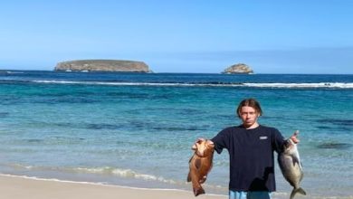 Photo of 24 साल का लड़का ले रहा 45 लाख सैलरी, 6 महीने मनाता है छुट्टियां!