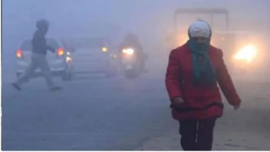 Photo of गोंडा: कोहरा और ठंड को लेकर IMD का ऑरेंज अलर्ट