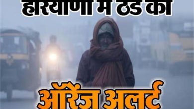 Photo of हरियाणा के इन 17 जिलों में ठंड का ऑरेंज अलर्ट: शीत लहर ने बढ़ाई ठिठुरन