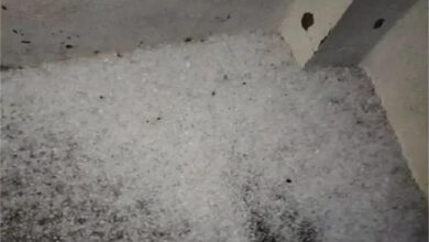 Photo of हरियाणा में बढ़ी ठंड: अंबाला में जमकर गिरे ओले