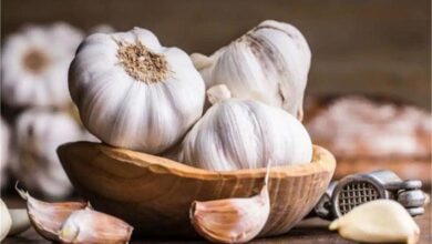 Photo of लहसुन की कीमतों में आई गिरावट
