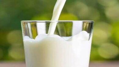 Photo of वेट गेन और ब्लोटिंग का कारण बनता है दूध?