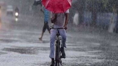 Photo of बारिश को लेकर IMD ने किया अलर्ट