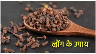 Photo of लौंग के इन उपायों से आर्थिक तंगी से मिलेगी मुक्ति, नजर दोष होगा समाप्त