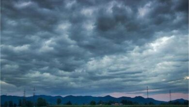 Photo of  पंजाब के मौसम को लेकर जारी हुई चेतावनी