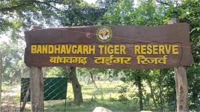 Photo of उमरिया में रेस्ट हाउस के बाथरूम में मिला एक पर्यटक का शव