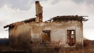 Photo of पुराने घर की हो रही थी मरम्मत, तहखाने में उतरते ही हुआ कमाल