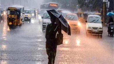 Photo of  पंजाब में आंधी-तूफान के साथ बारिश का अलर्ट