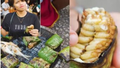 Photo of मधुमक्खी के बच्चे उबालकर खा गई महिला, कूद-कूदकर बता रही थी टेस्ट!