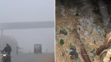 Photo of मध्य प्रदेश : मौसम का मिजाज बदला, उमरिया में ओले गिरने से बड़ी सर्दी