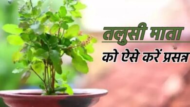 Photo of  तुलसी माता को ऐसे करें प्रसन्न