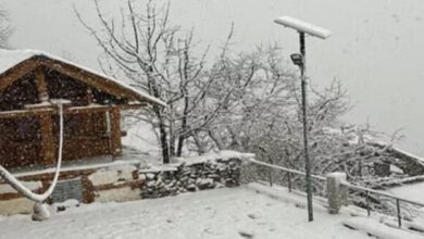 Photo of उत्तराखंड: गंगोत्री-यमुनोत्री धाम में चांदी की तरह चमक रहे पेड़, सुहाना हुआ मौसम