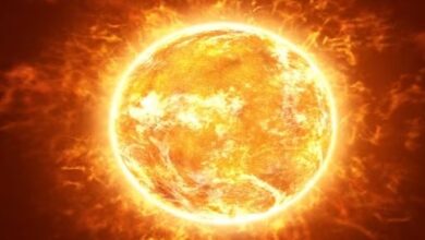 Photo of ‘दूसरा सूर्य’ बनाने के करीब पहुंचे वैज्ञान‍िक! न‍िकलेगी अनंत ऊर्जा