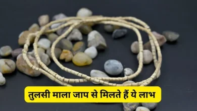 Photo of रोजाना करें तुलसी की माला का जाप, पुण्य फल की होगी प्राप्ति