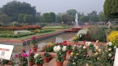 Photo of अमृत उद्यान घूमने के साथ-साथ जान लें कब और किसने की थी इसकी शुरुआत