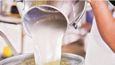 Photo of पंजाब के इन शहरों में बंद हुई दूध की सप्लाई, लोग परेशान