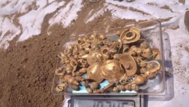 Photo of मजदूर कर रहा था जमीन की खुदाई, तभी आई खट-खट की आवाज, मिला ‘गड़ा हुआ खजाना’